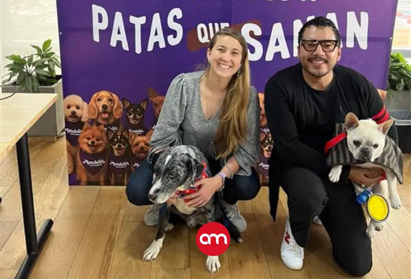 Empresa de snacks sorprende al mundo: ahora da licencia por adopción o muerte de mascotas