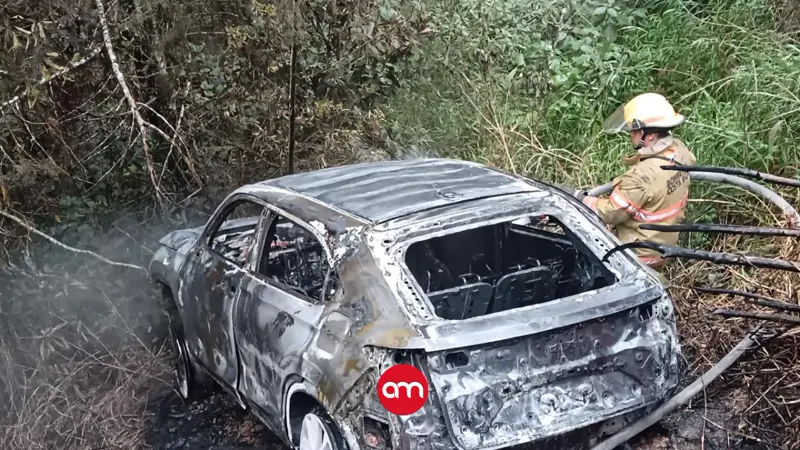 Lo que encontró el OIJ en la guarida de Panochita: vea las armas y vehículos usados en los crímenes