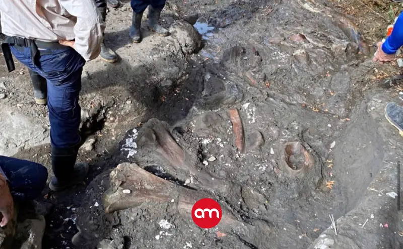 Tras increíble hallazgo: Alcalde afirma que Cartago podría convertirse en un gran polo arqueológico y turístico