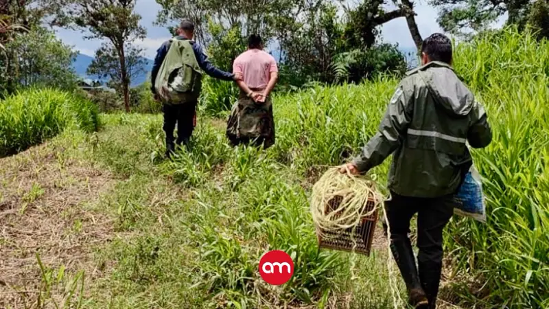 Cazador cayó en plena faena: así operaba con una técnica nunca antes vista para atrapar aves en Cartago