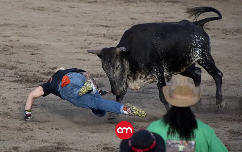 Canal 1 alista una temporada de fin de año llena de emoción, toros y magia para toda la familia