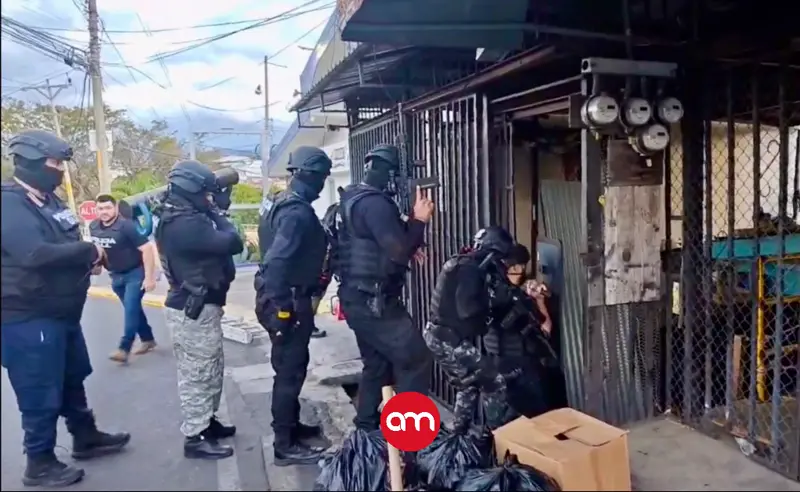 Caen por asaltos, bajonazos y paseo millonario: desmantelan banda que sembró terror