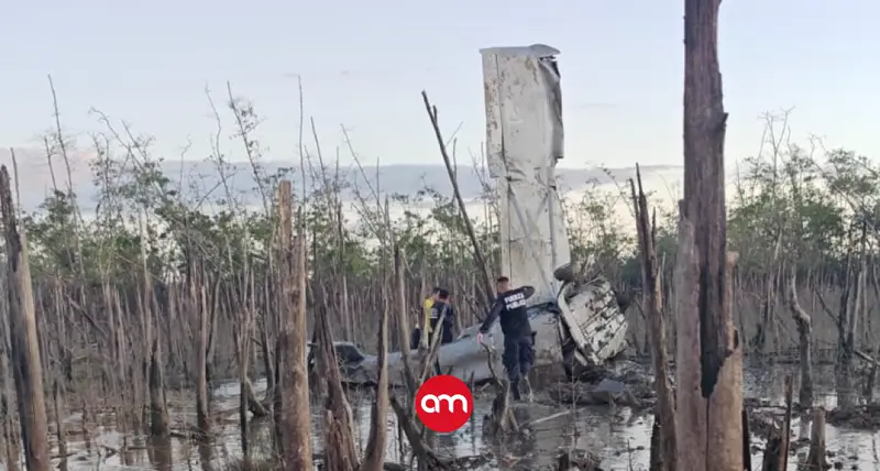 Aeronave siniestrada en Puerto Jiménez transportaba más de 300 paquetes de cocaína