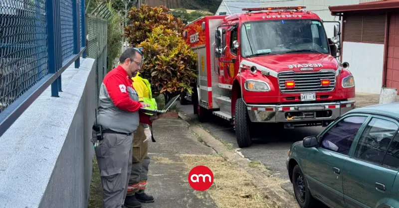 Dos personas trasladadas en estado crítico al hospital tras ataque de abejas en La Uruca