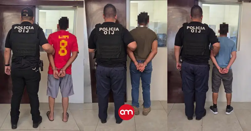 Capturan tres hombres en Osa por interceptar manada de saínos y cazar a nueve miembros