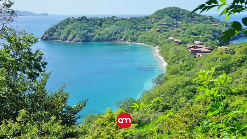Fiscalía intenta frenar tala de 751 árboles en exclusivo proyecto turístico de Papagayo
