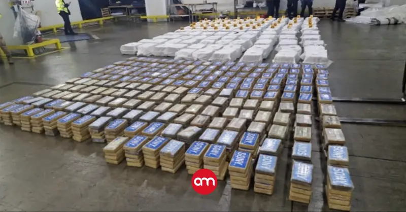Cae enorme cargamento de droga dentro de contenedor en APM Terminals que iba con rumbo a Europa