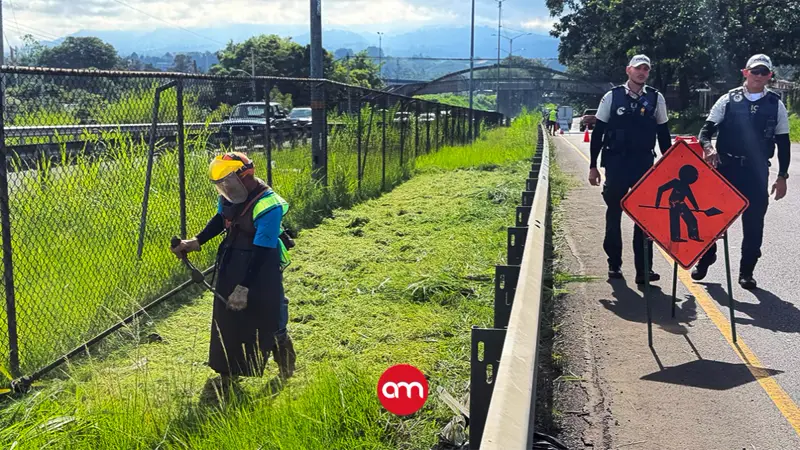 Reos trabajarán durante seis semanas en labores de limpieza de la autopista Florencio del Castillo
