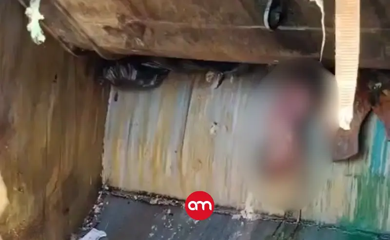 Bebé recién nacido muere aplastado entre los desechos de camión de la basura