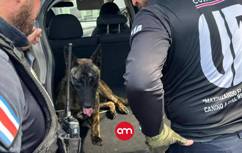 Policía detiene a jugador del fútbol tico por sospechas de transporte de drogas