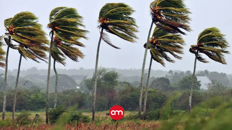 ¡Prepárese! Fuertes ráfagas de viento de hasta 95 km/h y lluvias marcarán este miércoles en Costa Rica