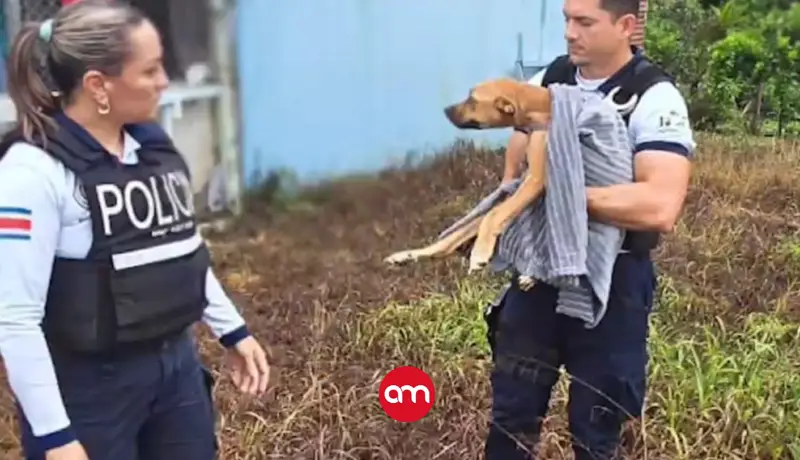 (Video) Familia se fue de casa y dejó perrito amarrado y abandonado: Policía lo rescató al borde de la muerte