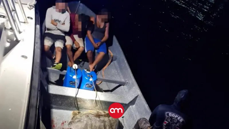 Tres hombres detenidos por cazar con arpones a una tortuga verde en Limón