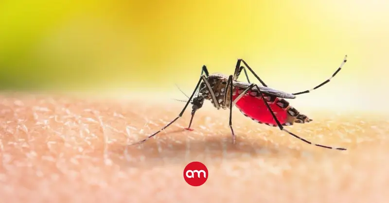 Salud exige vacunación contra la fiebre amarilla para viajeros hacia Colombia a partir de mañana