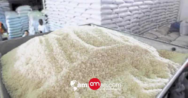 Industriales del arroz urgen modernización de Puerto Caldera para frenar pérdidas millonarias