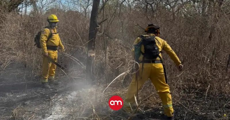 Tras horas de lucha, Bomberos apagan incendio forestal cerca del Aeropuerto Daniel Oduber