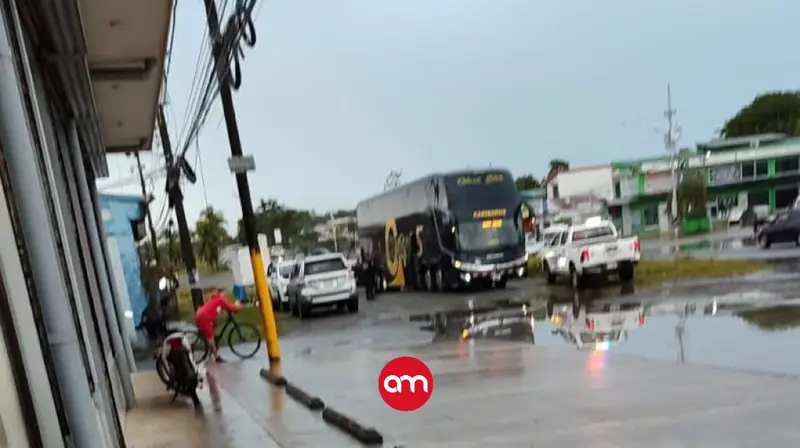 Encuentran fusiles de asalto, drogas y dinero en bus de reconocida línea de transporte