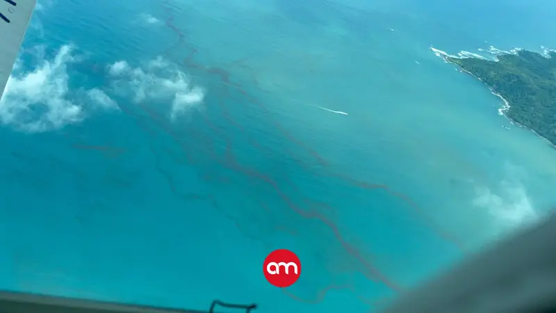 ¿Es tóxica la floración algal que cambió el color del agua del Golfo de Nicoya? Esto concluyen los expertos