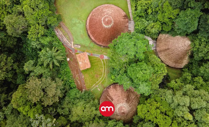 Palenques ocultos entre las montañas de Sarapiquí: así es el nuevo hotel de famosa cadena que eligió a Costa Rica