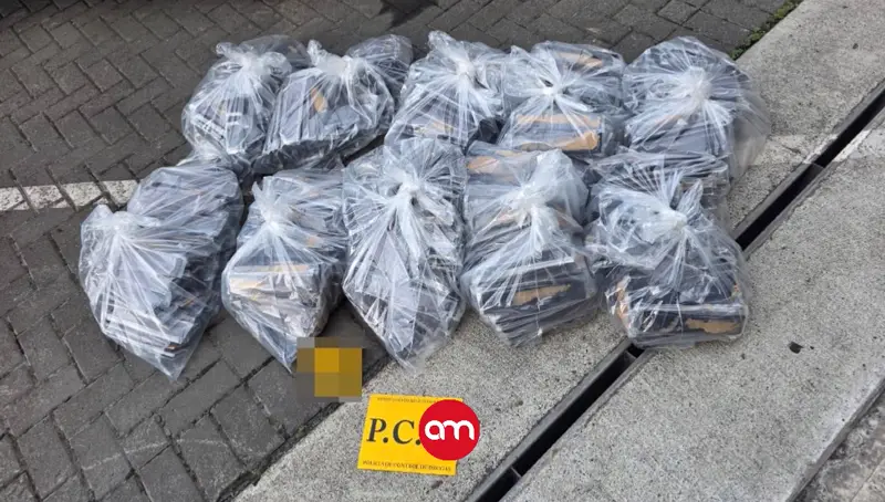 Cargamento de drogas oculto en un contenedor con piña es decomisado en puerto en Limón