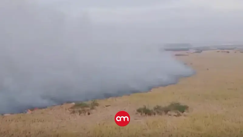 Rayo cae en Parque Nacional Palo Verde y provoca incendio que consume entre 200 y 400 hectáreas