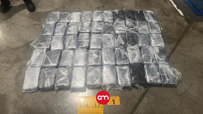Golpe al narco en Limón: decomisan 50 paquetes de cocaína en contenedor con banano