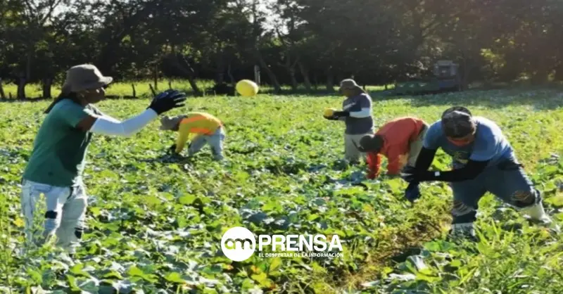 Cambio climático golpea con más fuerza a las pymes costarricenses