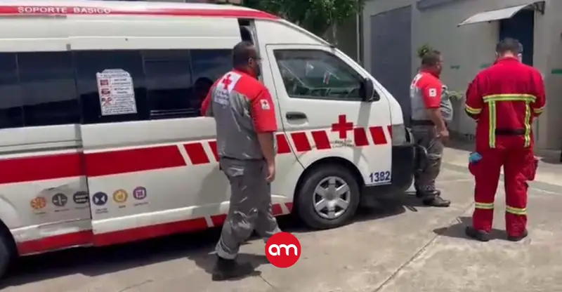 Dos personas trasladadas de urgencia al hospital tras ataque de abejas en colegio en Cartago