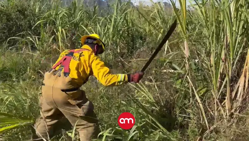 Incendios forestales amenazan con arrasar con cientos de hectáreas en Guanacaste y Alajuela