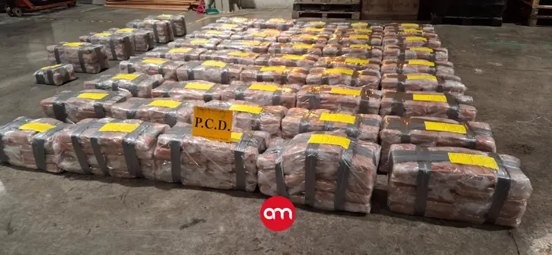Policía frena envío de cocaína a Europa: Ocho personas detenidas y mil kilos de droga decomisada en Moín