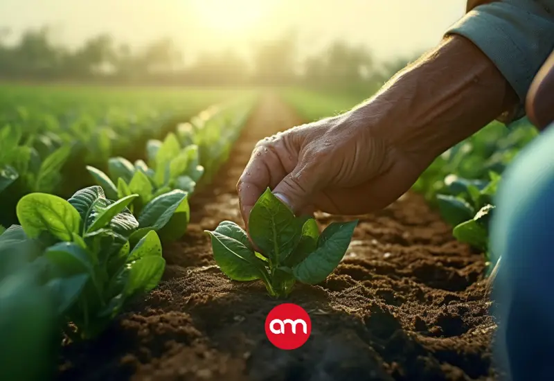 Unificación del CNP y el MAG ahorrará ¢400 millones anuales al gobierno para destinarlos a productores