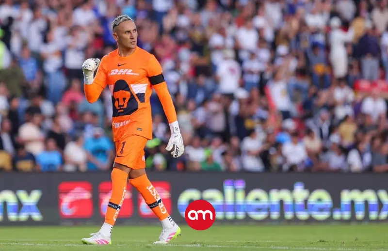 Pumas vuelan alto con el Halcón