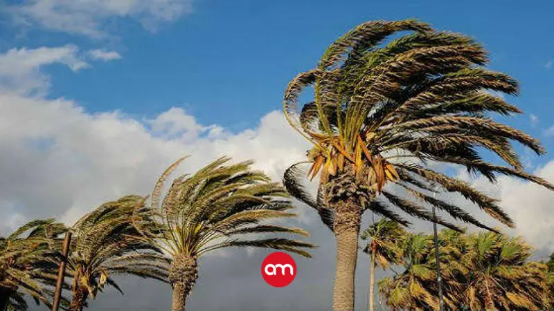 Alertan sobre lluvias y fuertes vientos para este fin de semana: estas serán las zonas más afectadas