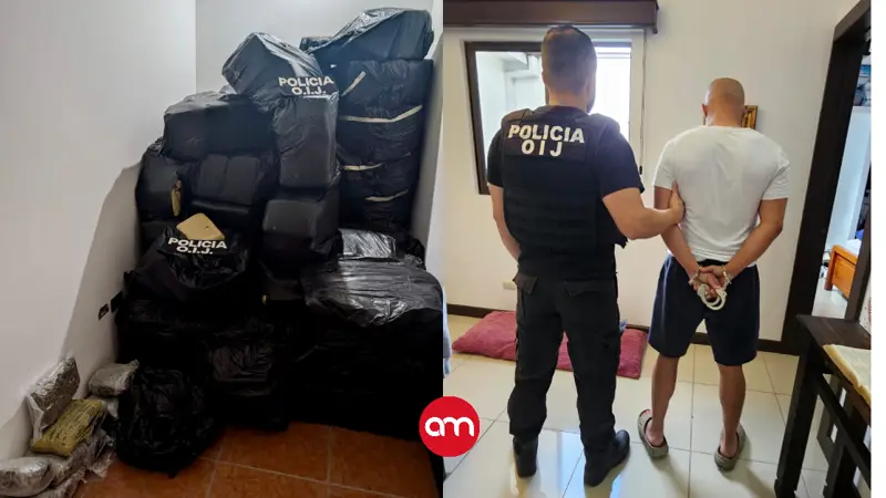 Iban por los millones… y terminaron encontrando marihuana por montones