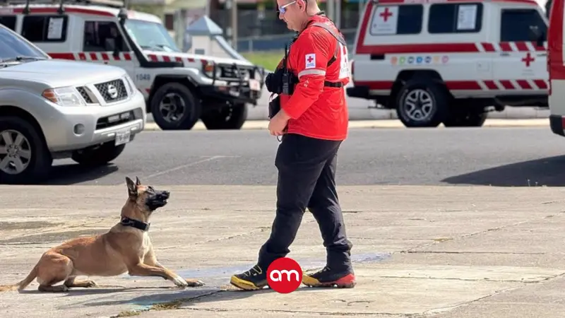Adiós, Pía: la perrita rescatista de Cruz Roja que deja un enorme vacío tras su inesperada partida
