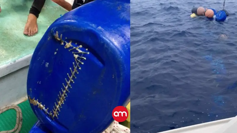 Histórico golpe al narco: Costa Rica decomisa por primera vez cocaína líquida en altamar
