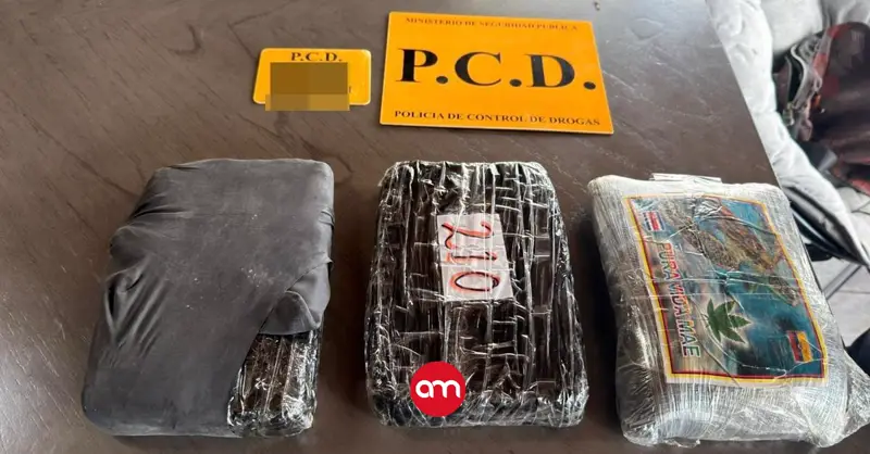 Policías encuentran gran cantidad de marihuana y otras drogas tras un allanamiento