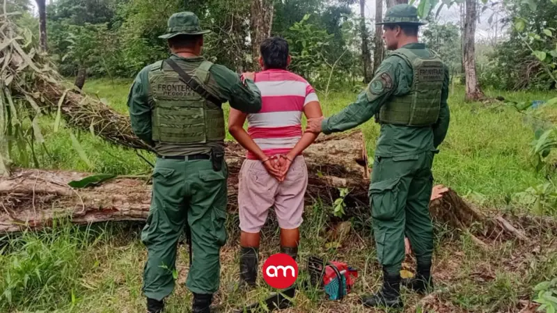 Policía de Fronteras descubre dos casos de tala ilegal en Upala y detiene a un hombre