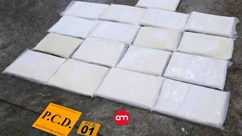 Decomisan en Limón decenas de kilos de cocaína en cargamento de masa de yuca que era exportada a Países Bajos