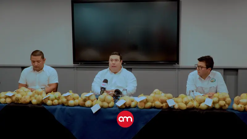 Productores de cebolla denuncian que supermercados incumplen normas y favorecen importaciones