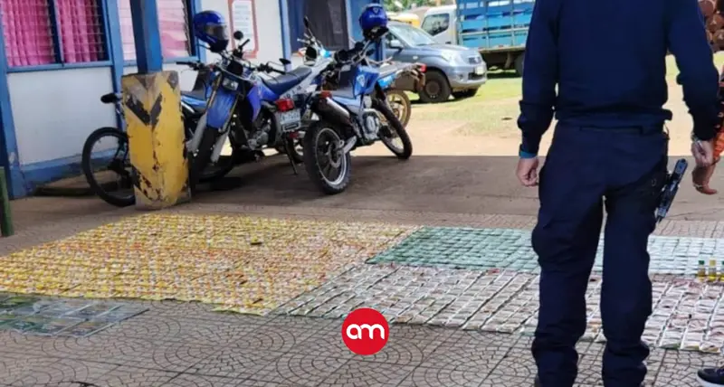 Fuerza Pública decomisa más de mil plaguicidas introducidos ilegalmente desde Nicaragua