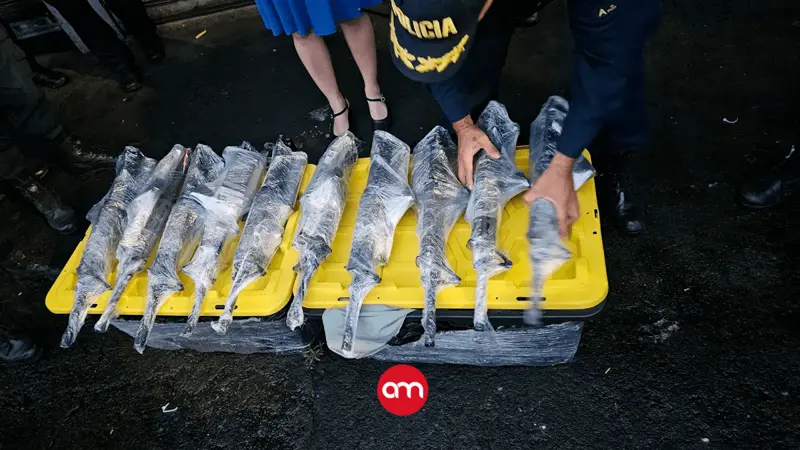 Mercado negro de armas se fortalece en Costa Rica con robos, contrabando e impresión 3D