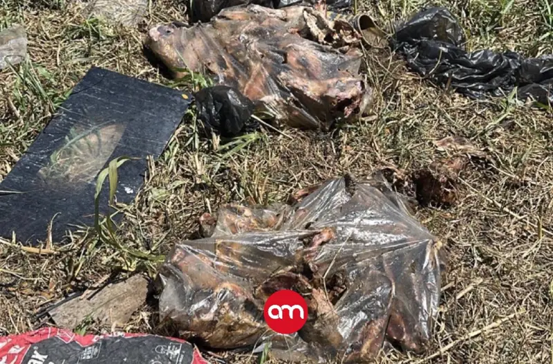 ¿De qué son los huesos hallados en Desamparados? OIJ descarta que sean de perro