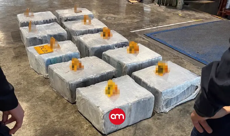 643 paquetes rumbo a Europa caen en Moín: narco intentó burlar controles, pero escáner lo delató