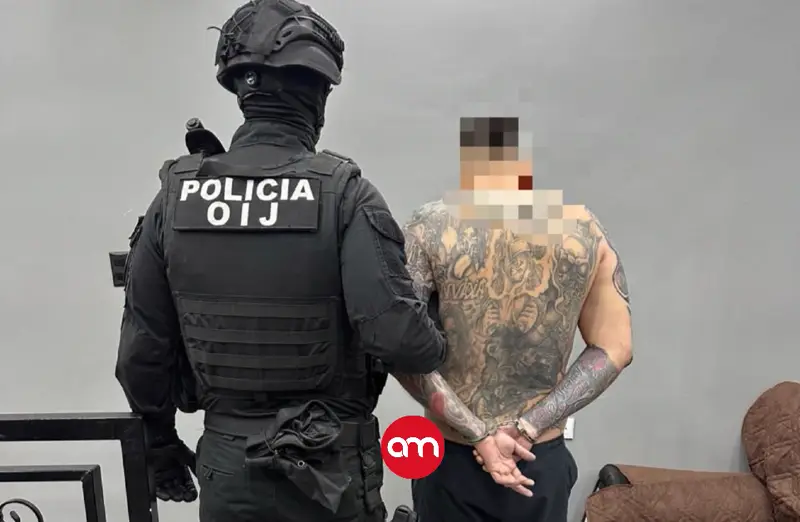 Operativo estalla en hallazgo de arsenal pesado: AR-15, pistolas y cientos de balas aparecen en casas ligadas a “herederos” de Manzanita