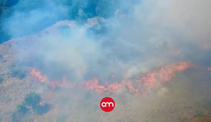Incendio forestal en Los Santos: más de 70 de evacuados, bombero heridos y llamas sin control