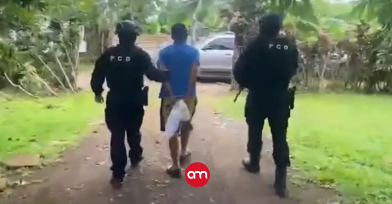 Dos detenidos por fallido envío de cargamento de más de 800 kilos de cocaína a Reino Unido