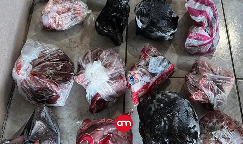 Cae en manos del OIJ cazador furtivo con sacos llenos de carne de diversas especies