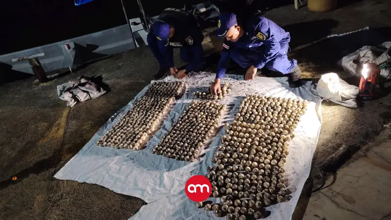 Guardacostas rescatan tortuga y más de 700 huevos que dos hombres llevaban en una lancha