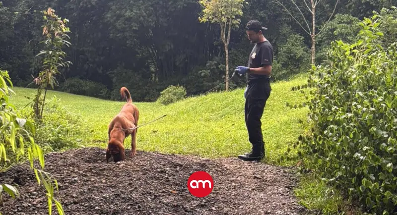 Extranjeros que aparecieron enterrados en finca en Quepos fueron asesinados a balazos, confirma autopsia